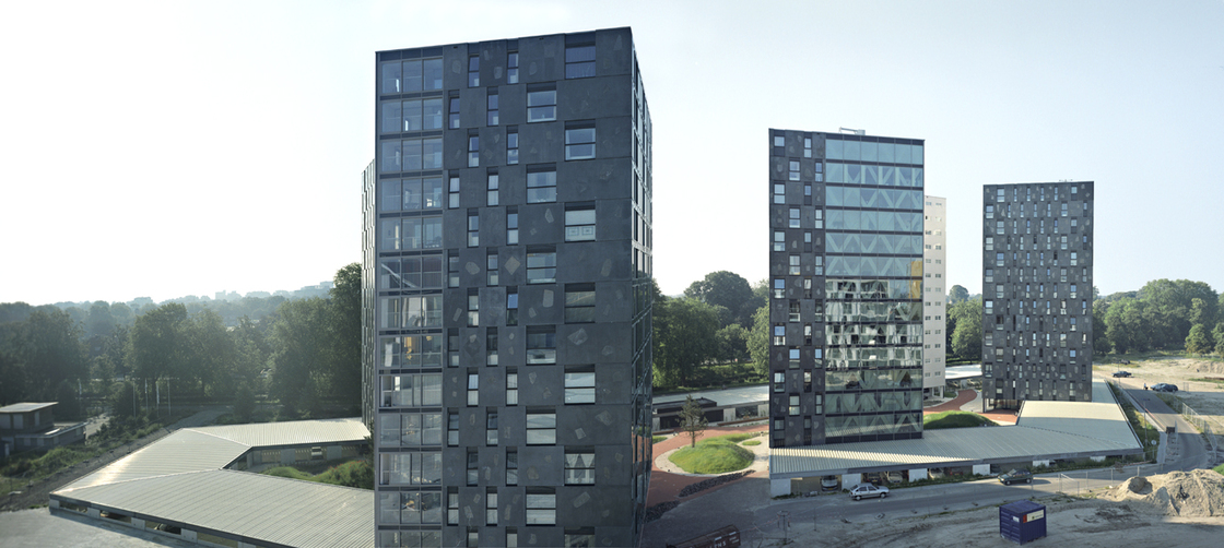 Ein Foto von Petra Stavast